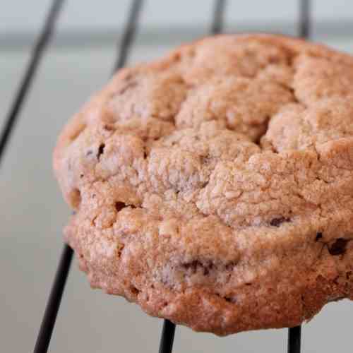 Peanut Butter Chocolate Chip Cookie