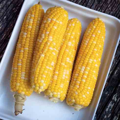 Corn on the cob