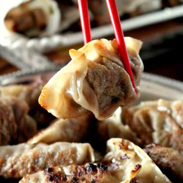 Pot Sticker - Chinese Dumplings