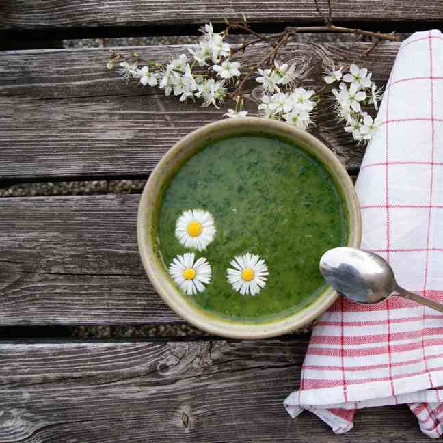 Wild Garlic Soup with Dandelion 