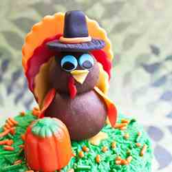 Turkey topper