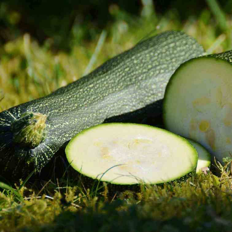 Zucchini Wedges Recipe