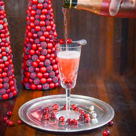 Sparkling Cranberry Rose Cocktail