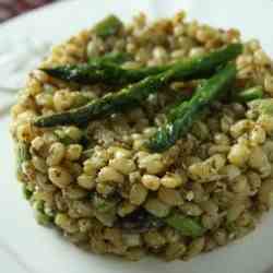 Wheat Berry Pesto Salad