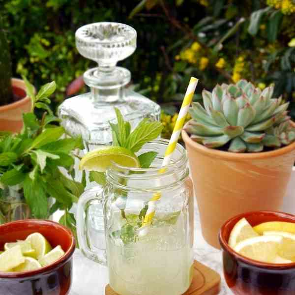 Fruity Mojito Recipe