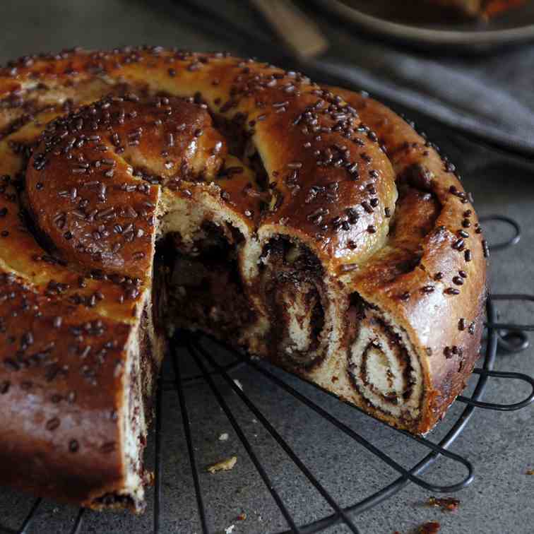 Spiral-Shaped Double Chocolate Babka