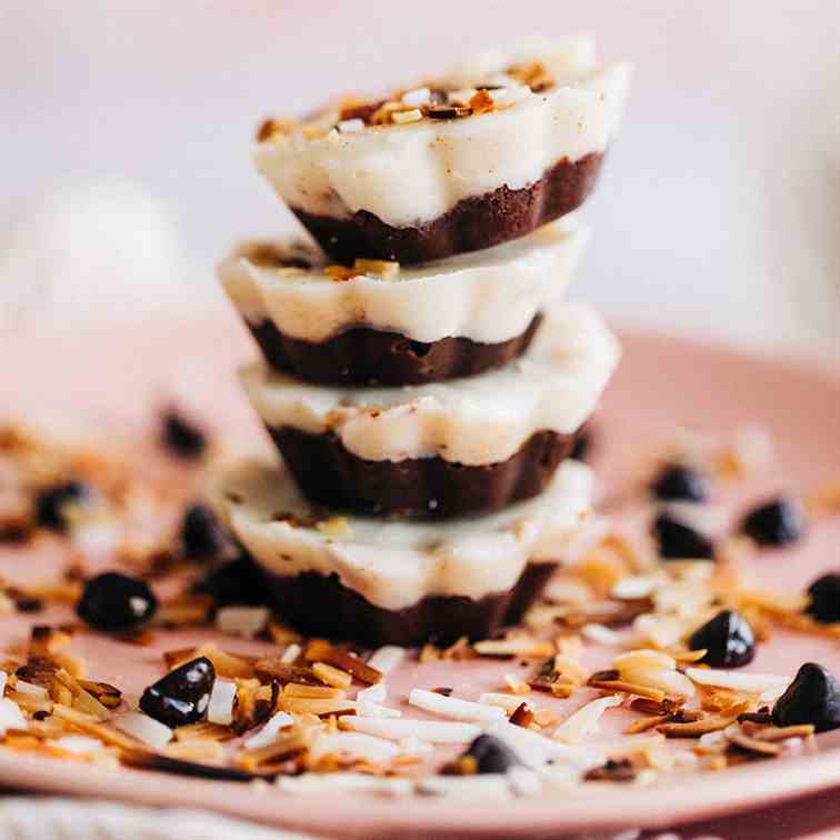 Toasted Coconut and Chocolate Fat Bombs