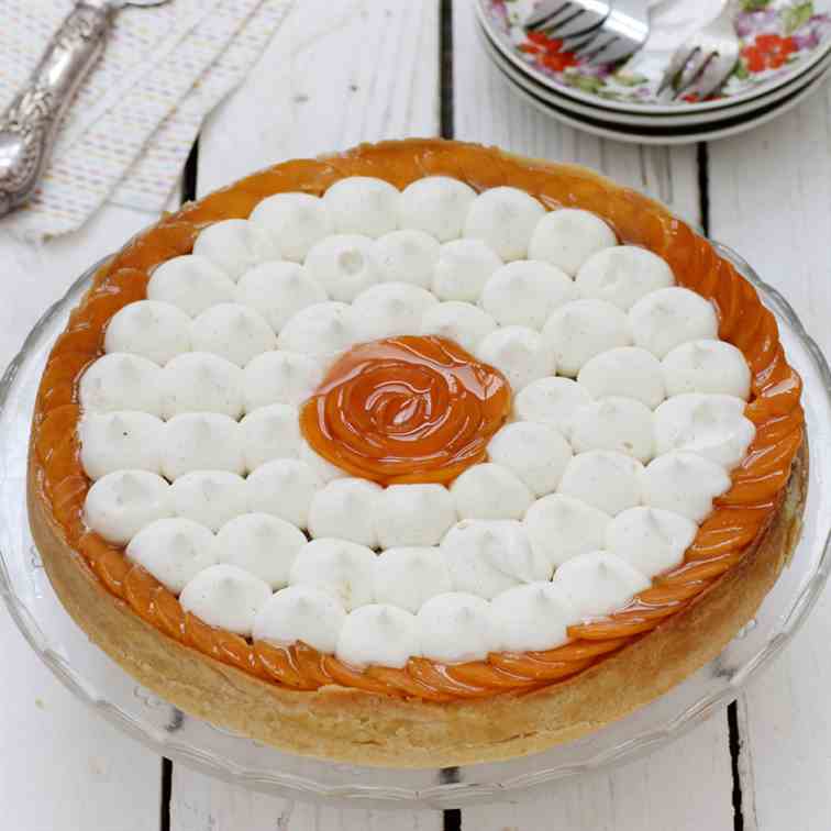 Apricot Tart with Yogurt Ricotta Cream