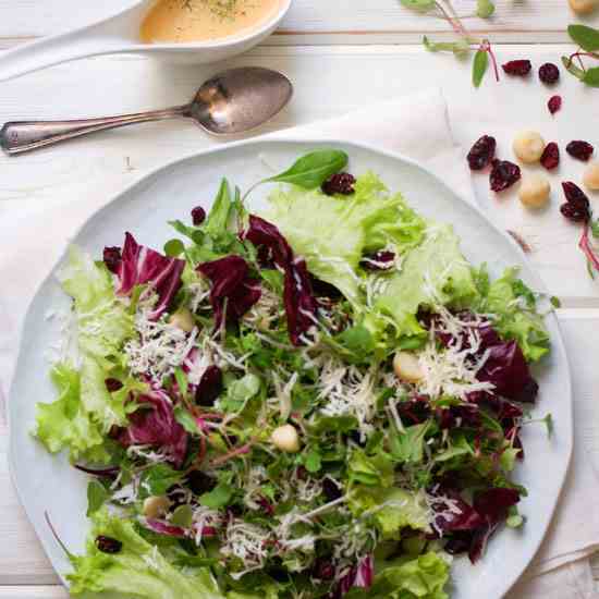 Radicchio and Wild Greens Salad 