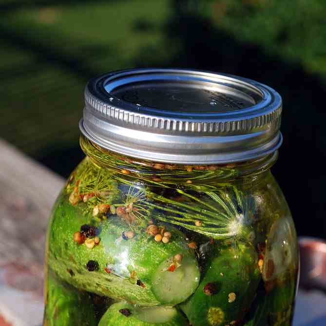 Deli Style Half Sour Pickles