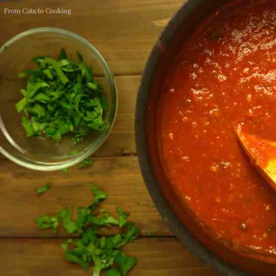 Spicy Italian Arrabbiata Sauce