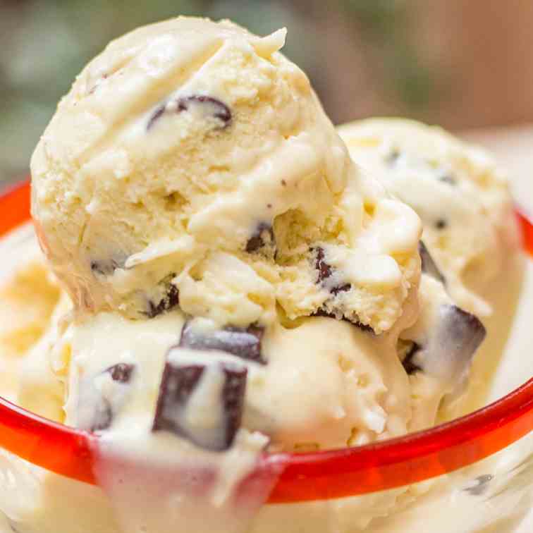 Coconut Chocolate Chip Ice Cream