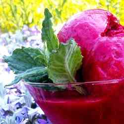 Cranberry Orange Sorbet