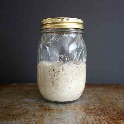 Sourdough Starter, Demystified