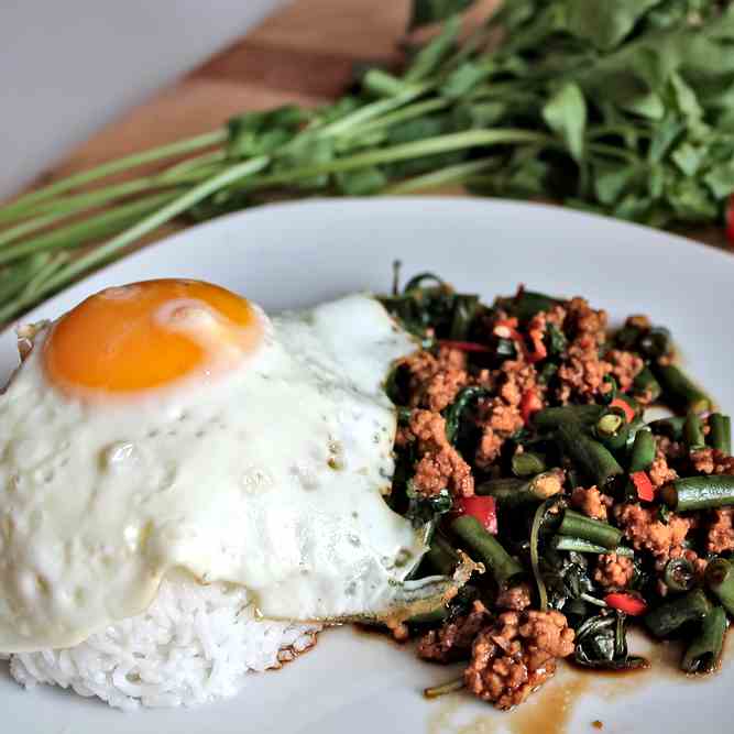 Thai Holy Basil with Minced Meat  