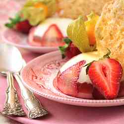 Oatmeal Tiles and Fruity Panna Cotta