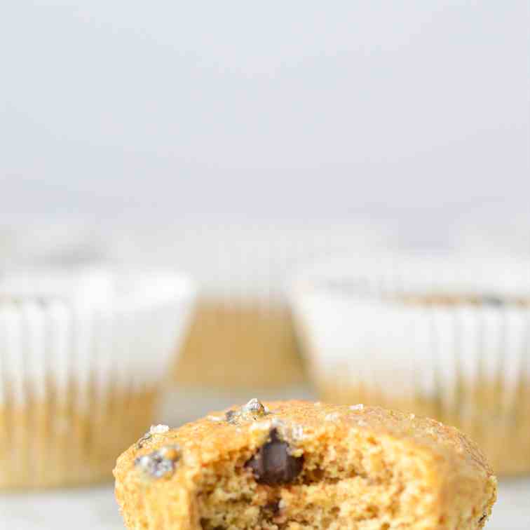 Yogurt Dark Chocolate Chip Muffins