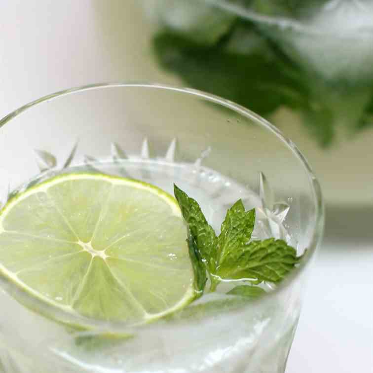 Ever-Refreshing Vodka Mojitos