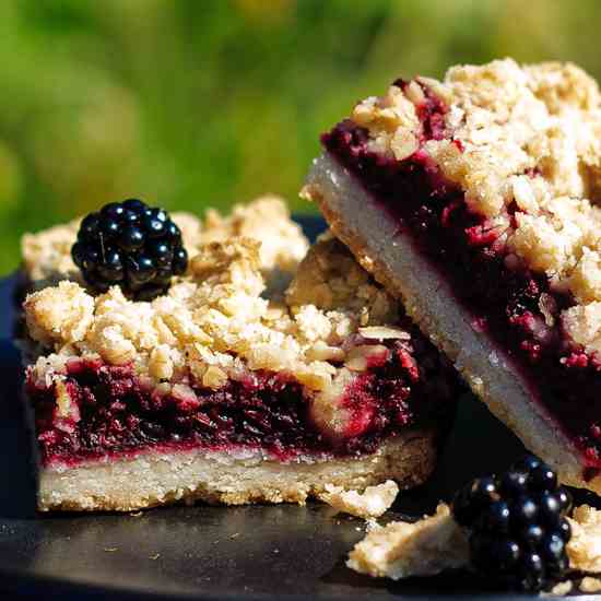 Blackberry Crumble Bars