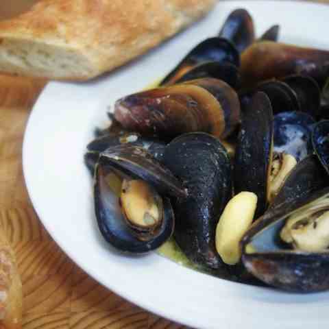 Mussels with Saffron & Mustard