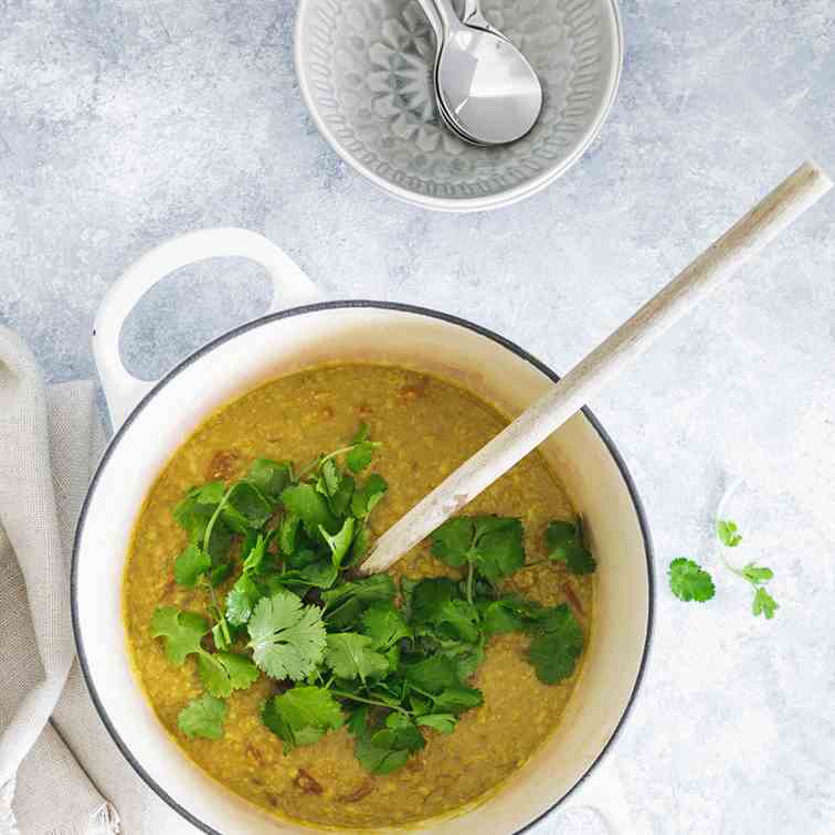 Red and Yellow Lentil Dal