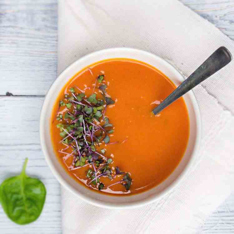 Creamy Andalusian Gazpacho 