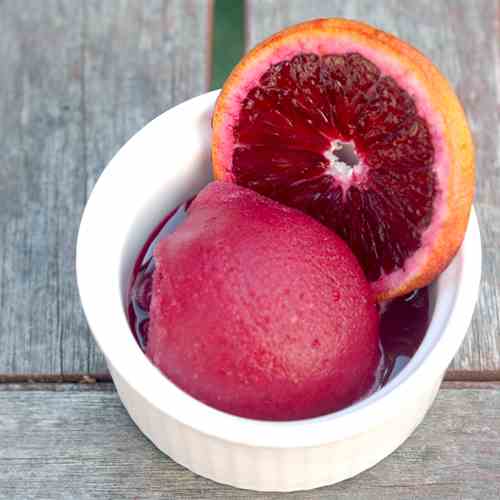 Blood Orange Sorbet