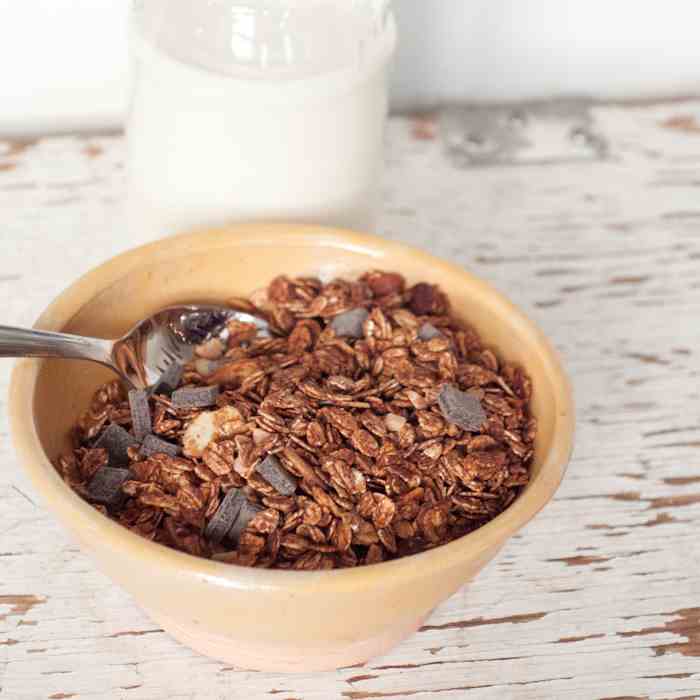 Dark Chocolate Almond Granola