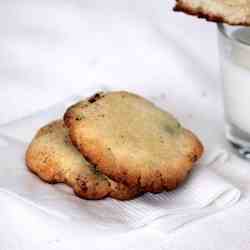 Chocolate chip shortbread cookie