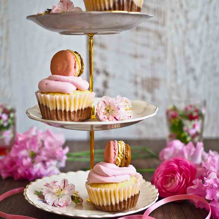 Neapolitan Cheesecake Cupcakes