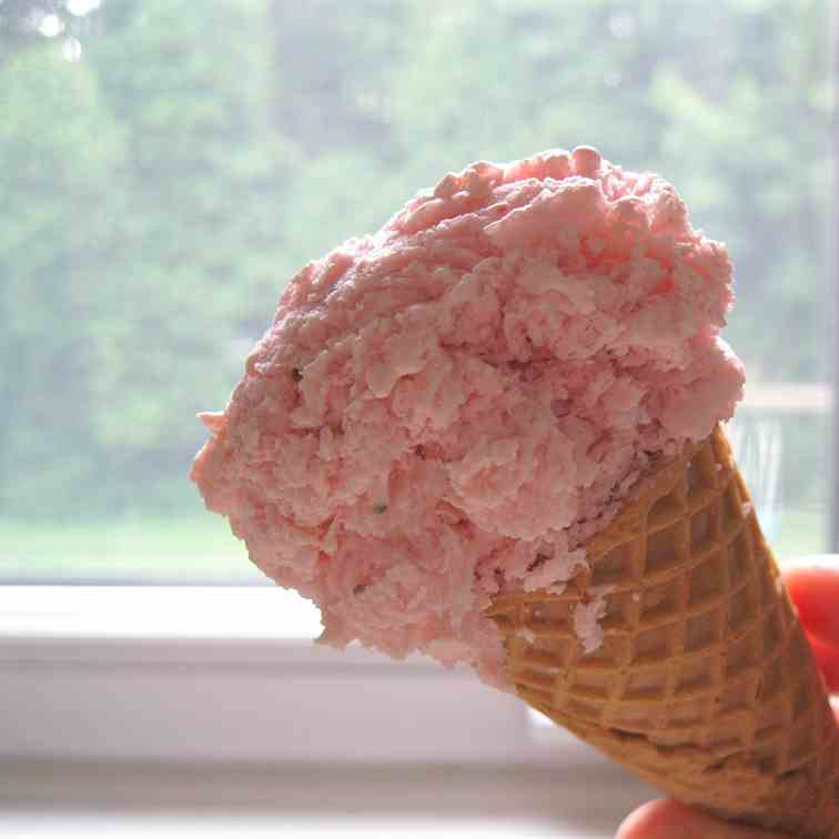 Tigule and Foror's Strawberry Ice Cream