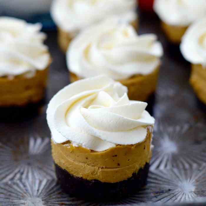 Mini Vegan Pumpkin Pies (No-Bake)