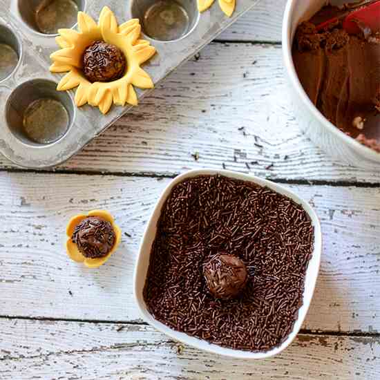 Sunflower Brigadeiro Recipe