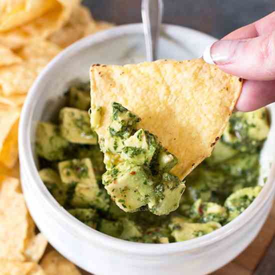 Spicy Avocado Chimichurri Salsa