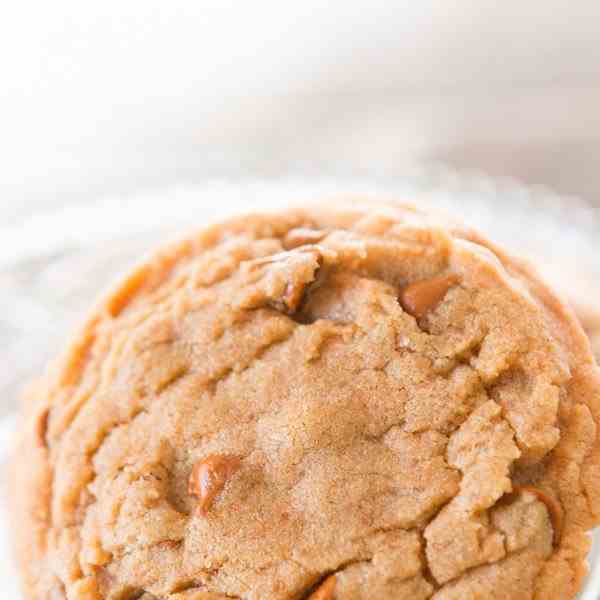 cinnamon chip pumpkin spice cookies