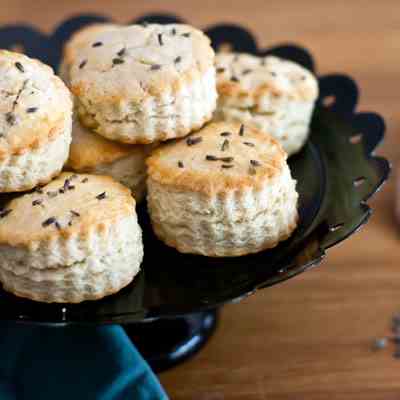 Lavender Biscuits