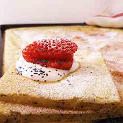 Sheet Pan Icelandic Skyr Yogurt and Poppy