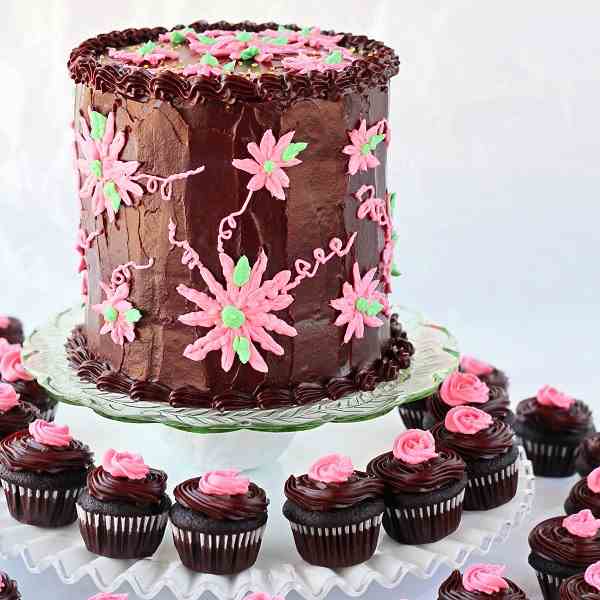 Chocolate Cake and Cupcakes
