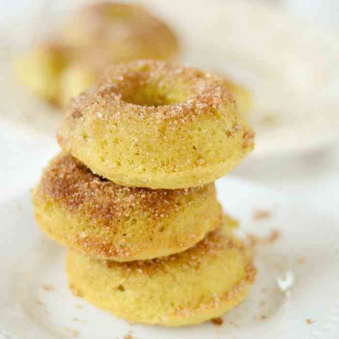 Coconut Flour Cinnamon Doughnuts