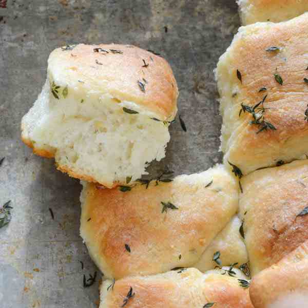 Garlic Thyme Parker House Rolls