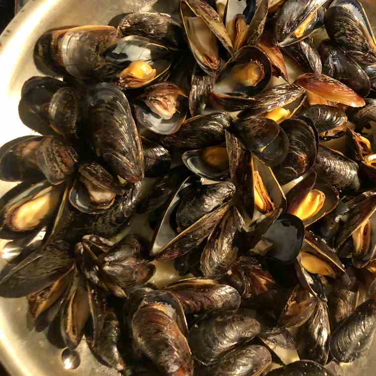 Steamed Mussels 