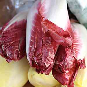 Endive in Mustard Vinaigrette