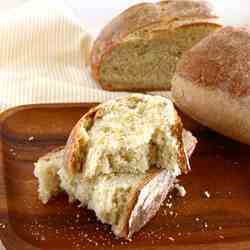 Artisan Bread with a Sourdough Starter