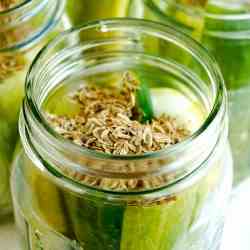 Homemade Dill Pickles