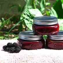 Easy-Peasy Blackberry Puree