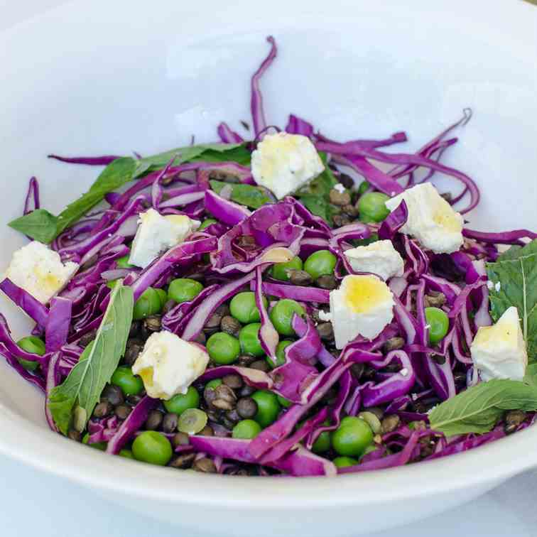 Puy lentil, pea & red cabbage salad