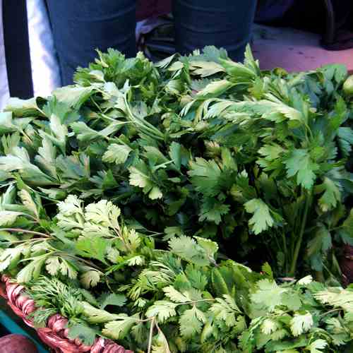 Santa Fe Farmers' Market