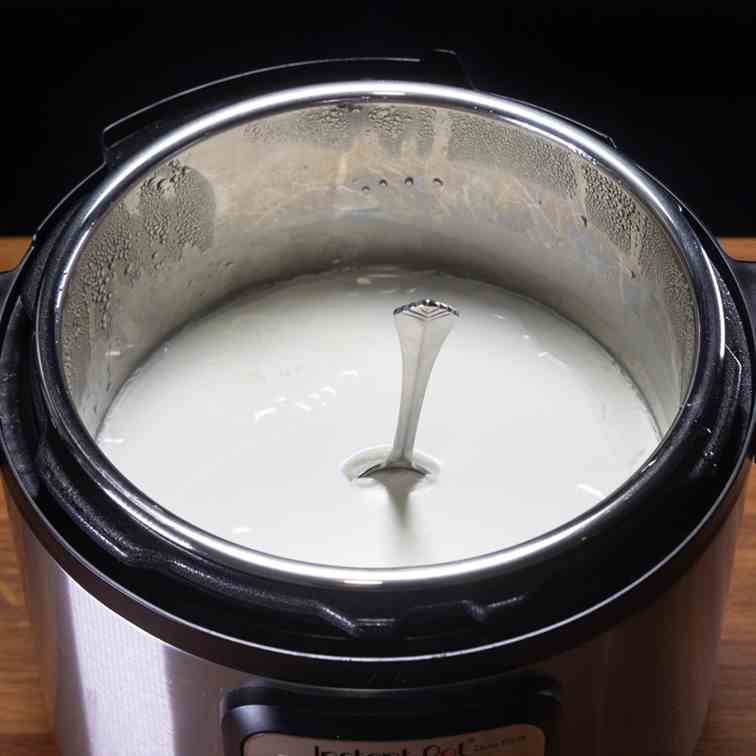 Instant Pot Cold Start Yogurt