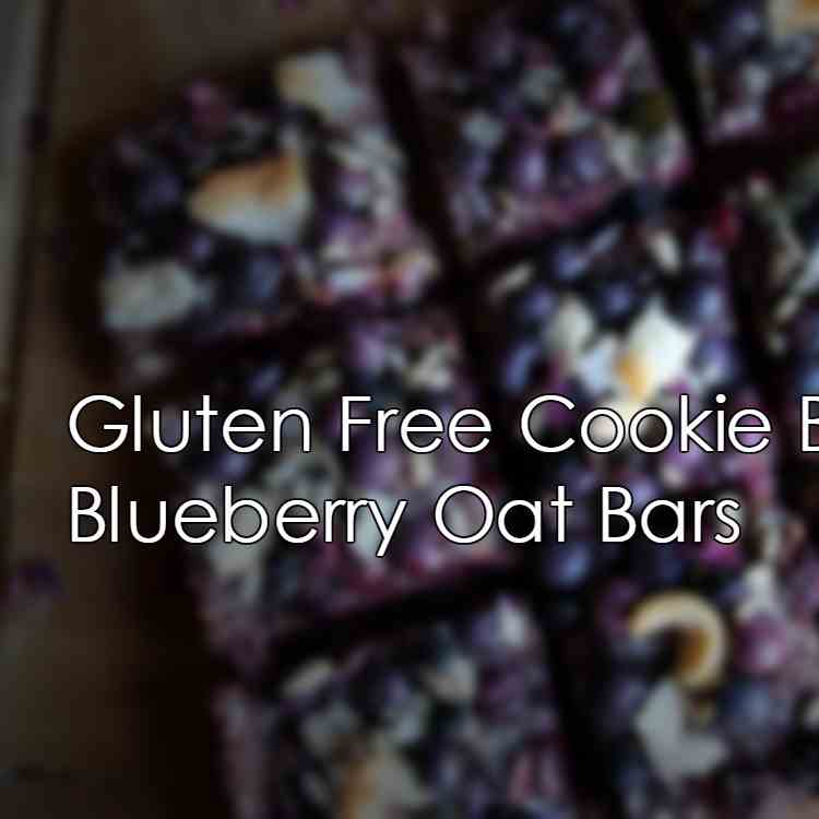 Gluten Free Cookie Bars Recipe- Blueberry