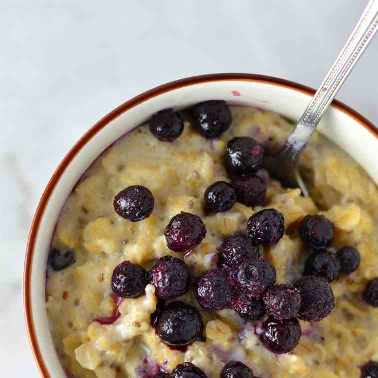 Blueberry Apple Holy Crap Oatmeal